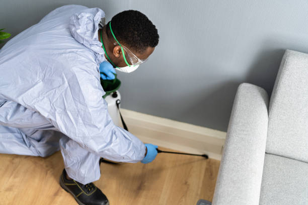 Best Pest Prevention Services  in Wlow Springs, IL